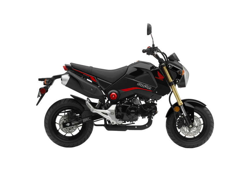 Illustration for article titled This Is Your Very Important Honda Grom Announcement Of The Day